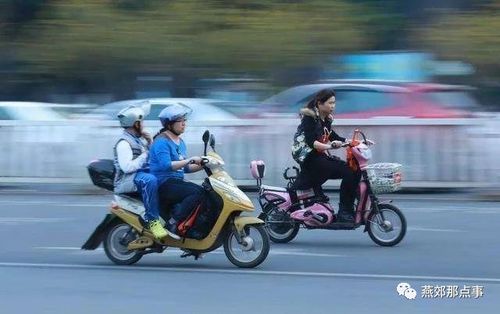 燕郊人别抢头盔了,6月起,骑乘电动自行车不戴头盔,不处罚 安全带