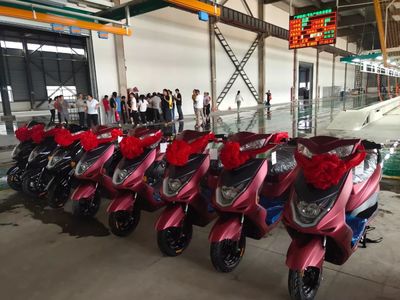 欧派贵港工厂正式投产,五大电动车基地齐发力,冲击百万销量!