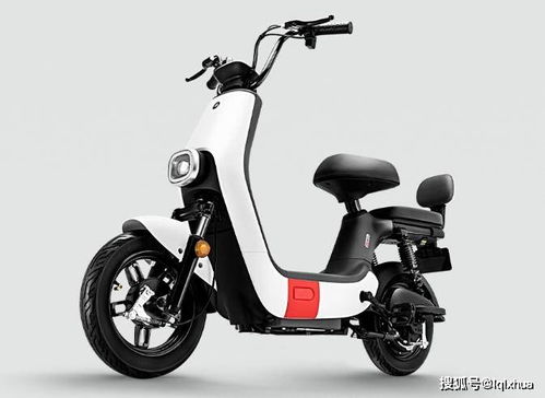 这2款电动车,不要驾照,3000元左右,最大续航100公里,你怎么看