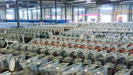 第8万辆下线!你家的爱玛电动车可能是铜梁产