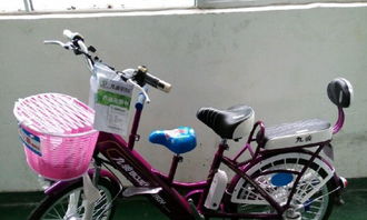 深圳电动车价格解析 40公里续航的工厂批发仅1450元